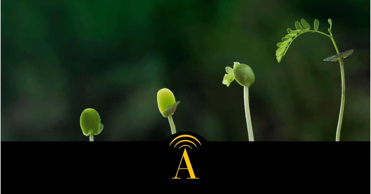 The paradox of growth